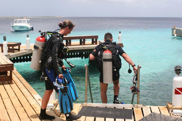 Buddy Dive Bonaire Offer » Diverse Travel