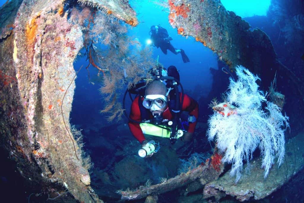 Grenada Diving holidays - 2 Divers and reef