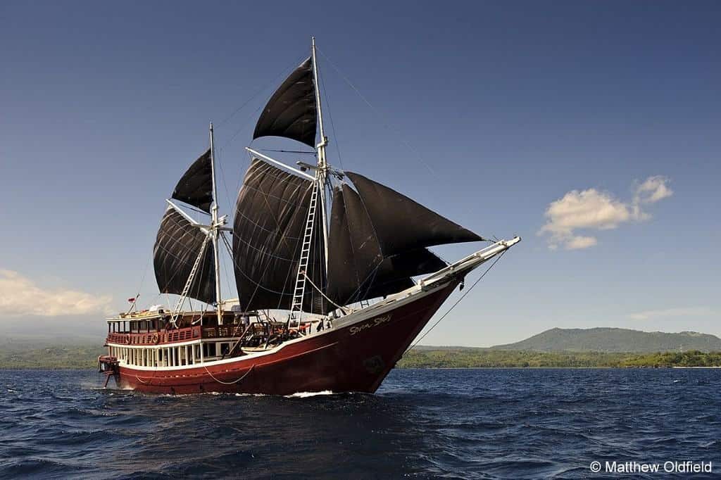 Indonesia liveaboard Diving holidays Seven Seas