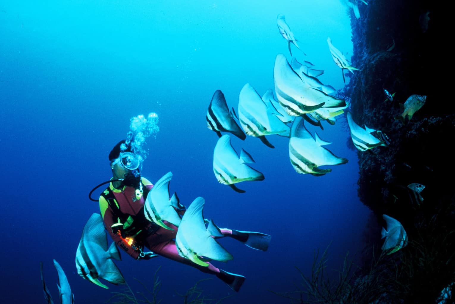 Emperor Atoll Maldives Liveaboard Diving Holidays Diverse Travel