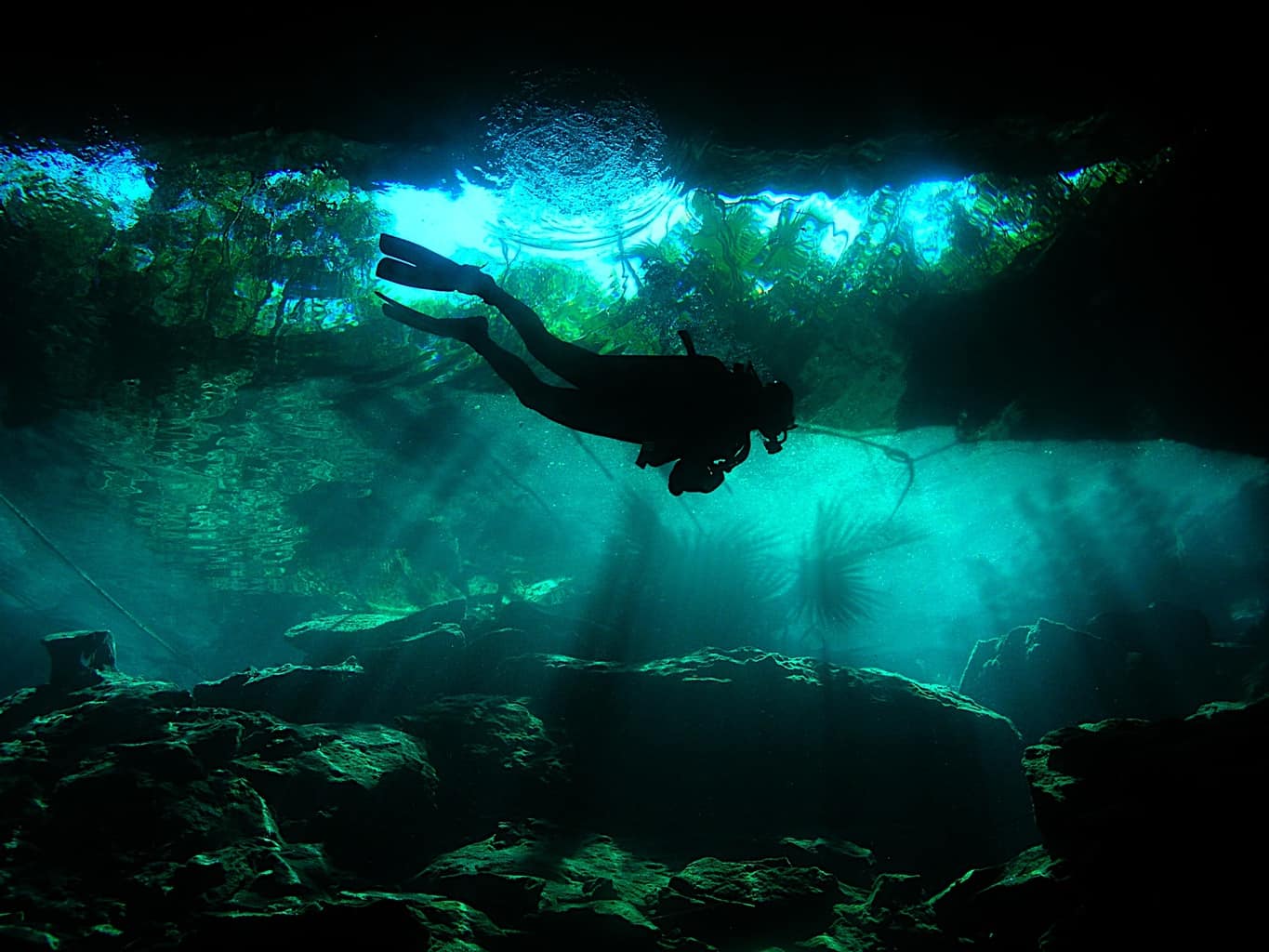 Mexico Diving Holidays Playa del Carmen Cenote one diver