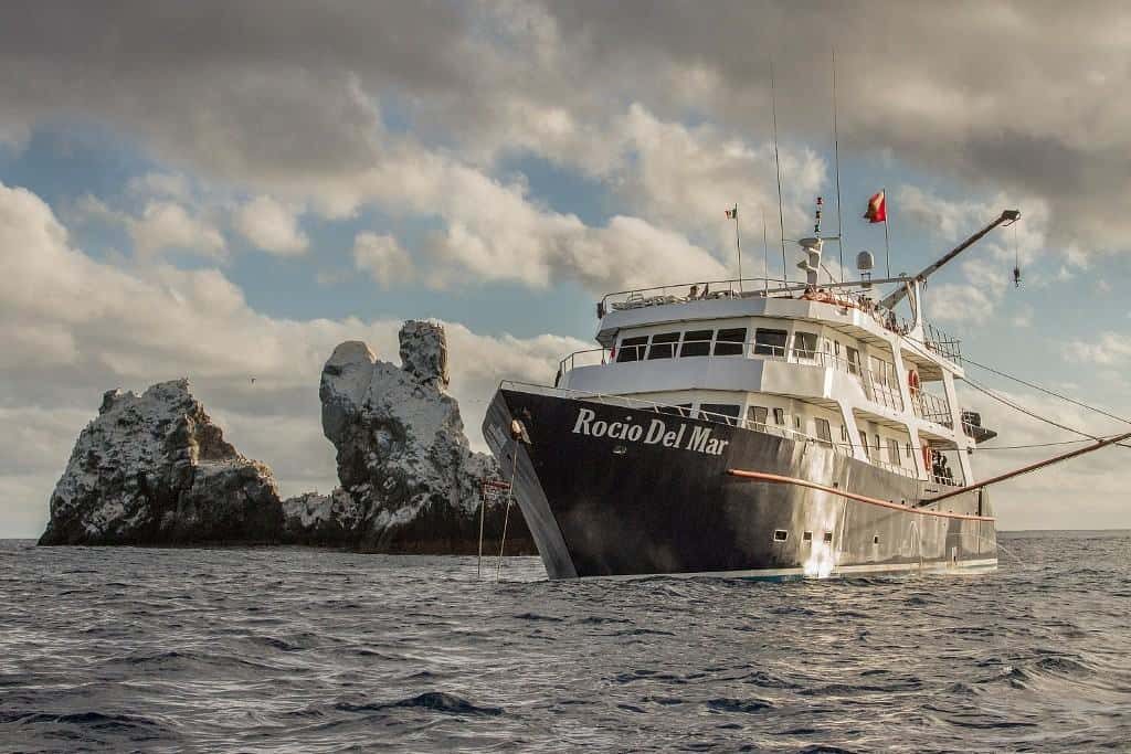 Mexico Socorro Liveaboard holidays Rocio Del Mar