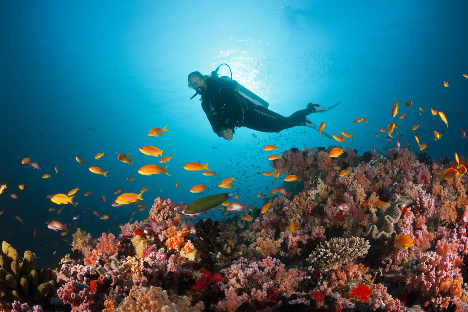 Emperor Atoll Maldives Liveaboard Diving Holidays Diverse Travel