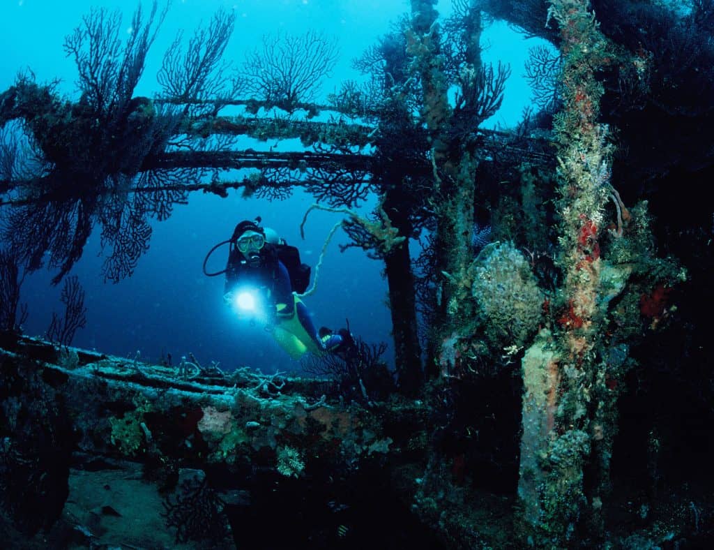 Grenada Diving Holidays