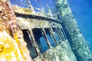 Red Sea Diving Blog
