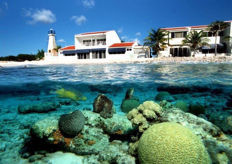Buddy Dive Bonaire Offer » Diverse Travel