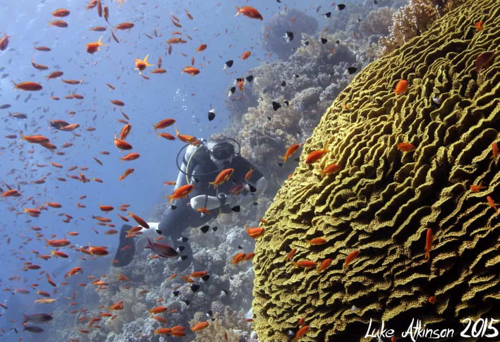 Red Sea Egypt Sharm