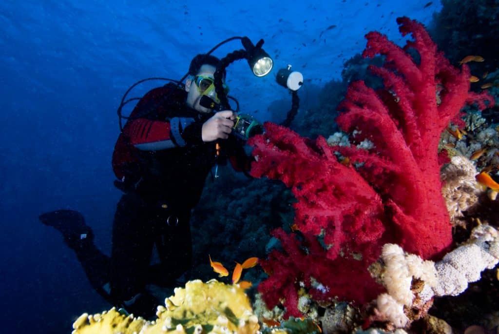 Sharm el Sheikh Diving Holidays Red Sea Diving Diverse Travel UK