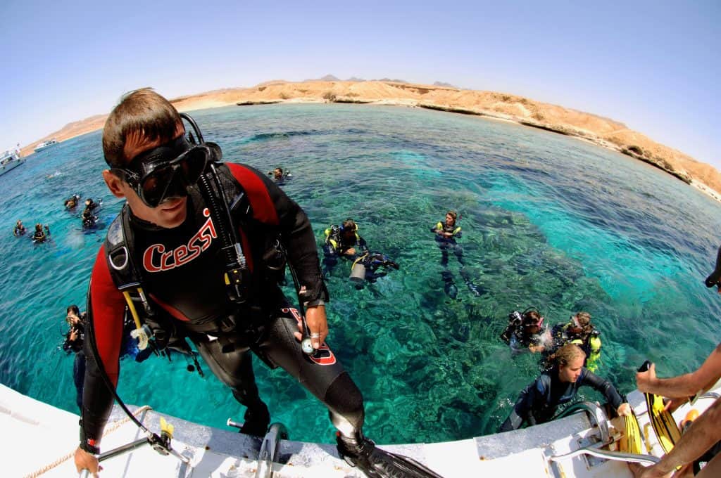 Red sea diving holidays