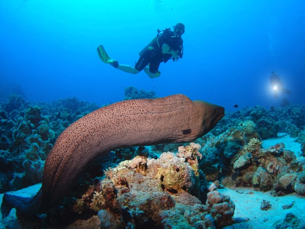 Sharm el Sheikh - Camel Dive Hotel » Diverse Travel