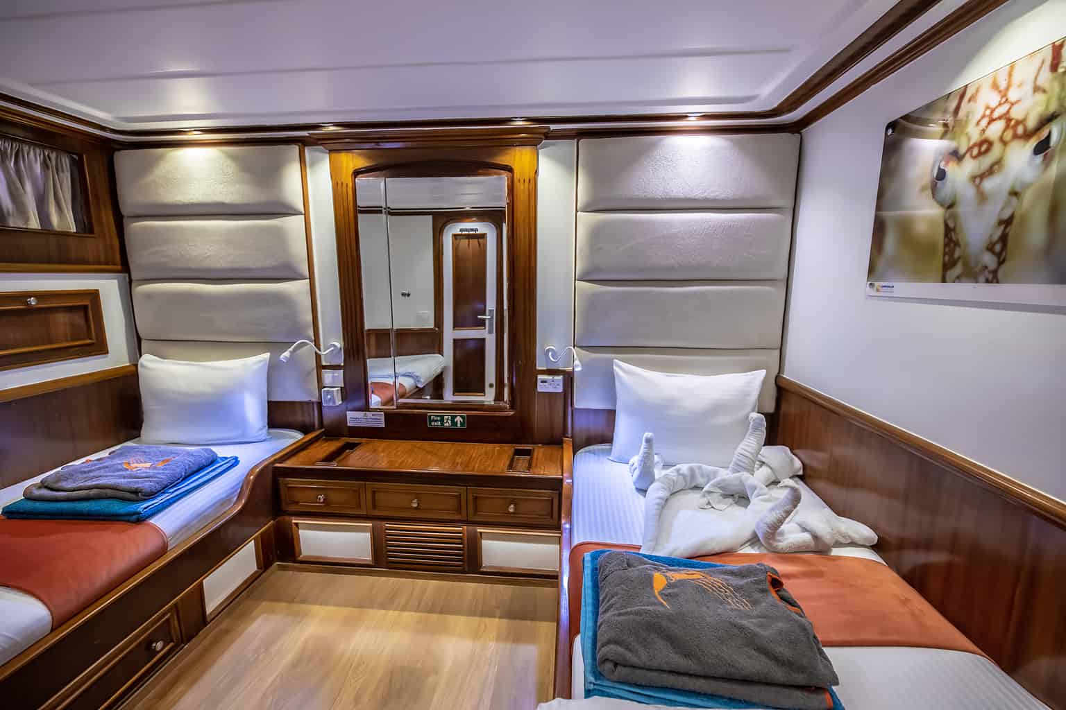 Emperor Superior | Red Sea Egypt Liveaboard Diving | Diverse UK