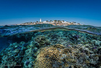 Red Sea Diving Holidays Duxy