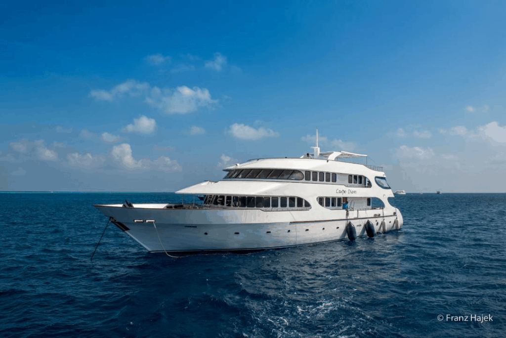 Maldives Liveaboard Holidays Carpe Diem