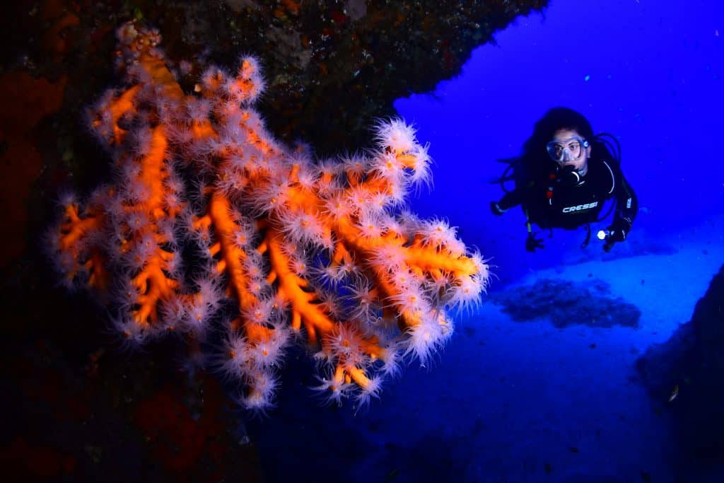 Lanzarote Diving Holidays