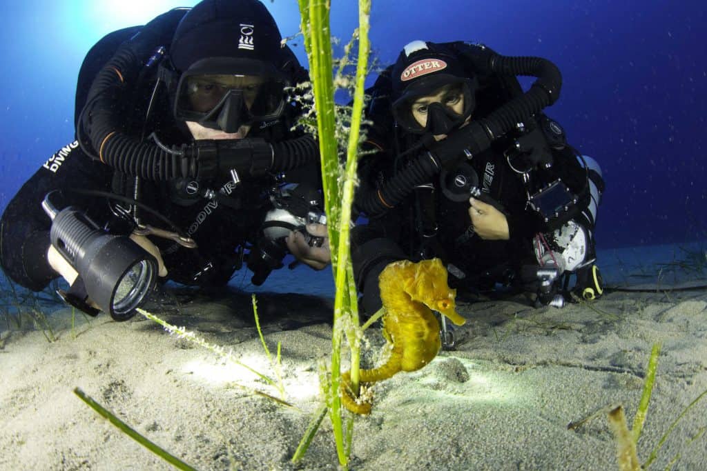 Croatia Diving Holidays