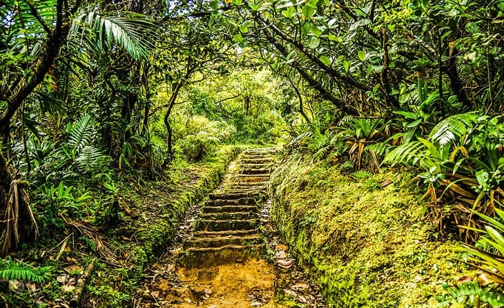 Dominica Diving Holidays