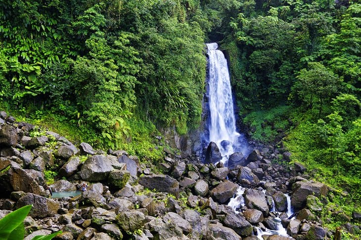 Dominica Diving Holidays