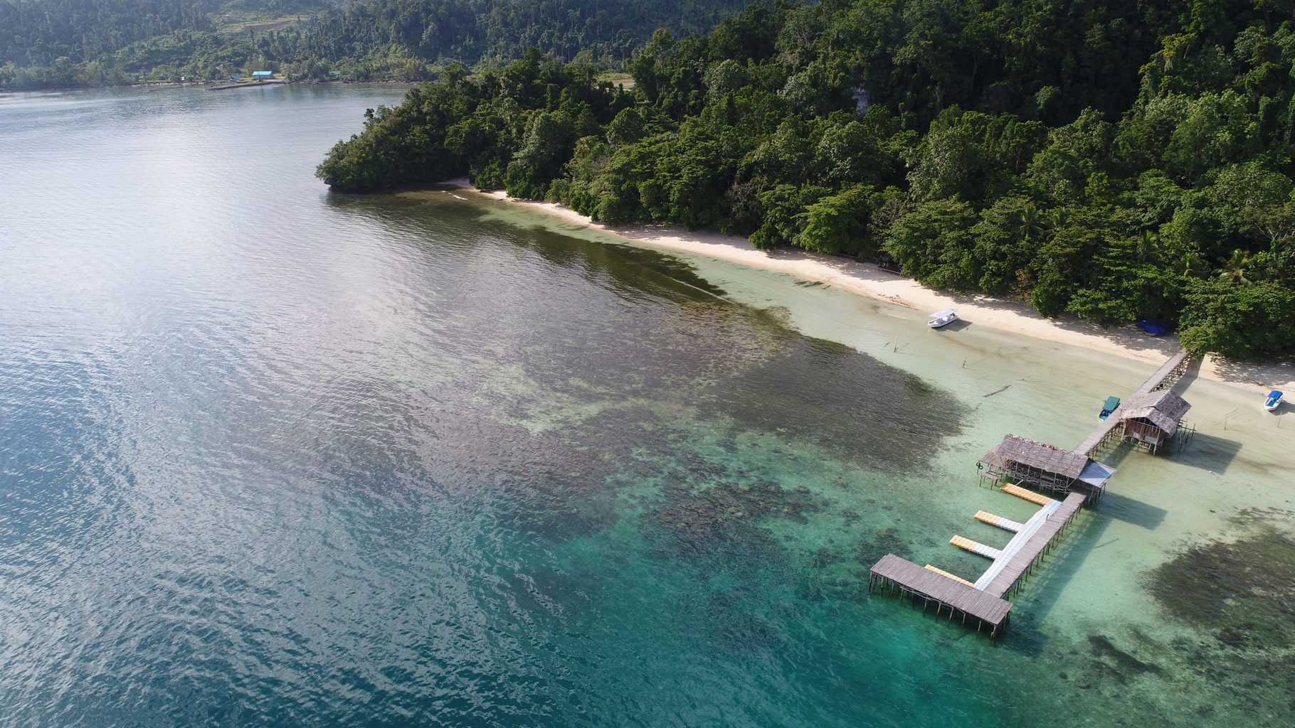 Raja Ampat Dive Resorts Raja Ampat Diving Holidays Diverse Travel UK