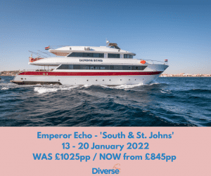 Red Sea Diving Holidays Echo Offer