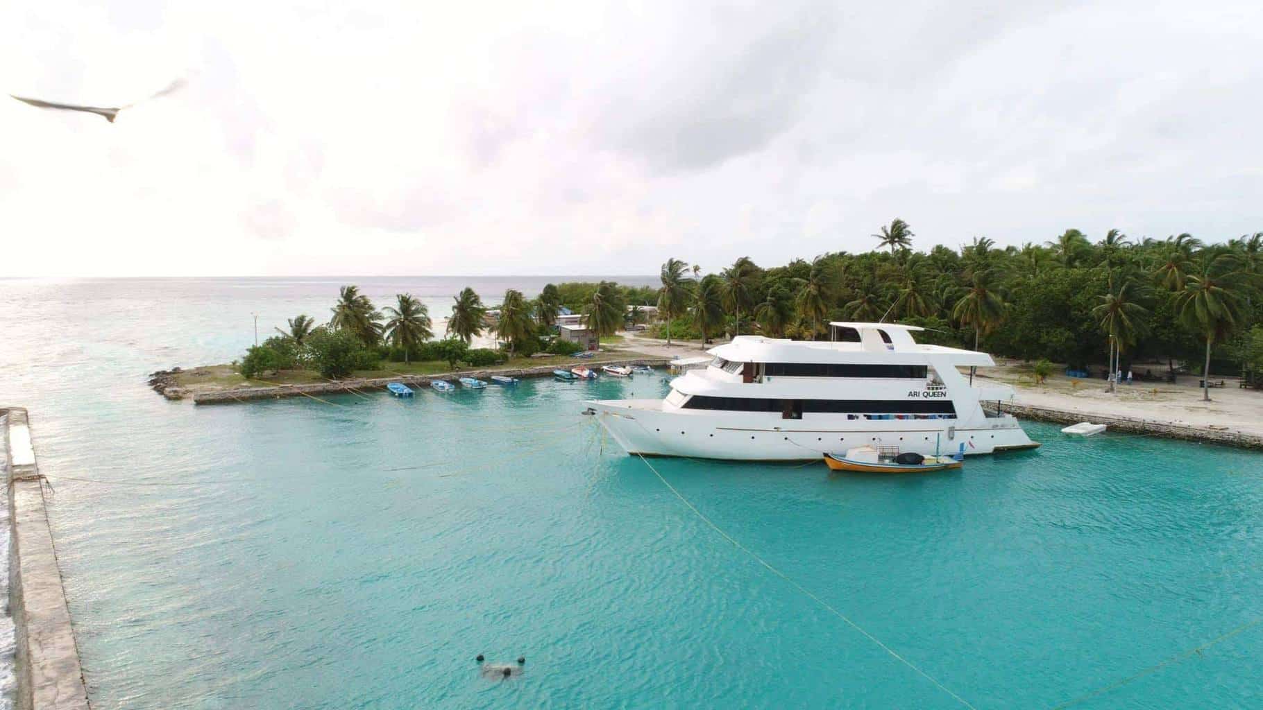 Maldives Liveaboard Diving Holidays Ari Queen