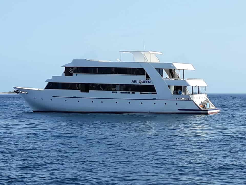 Maldives Liveaboard Diving Holidays Ari Queen