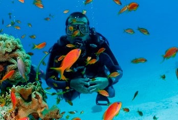 Egypt Diving Holidays